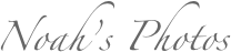 Noah’s Photos